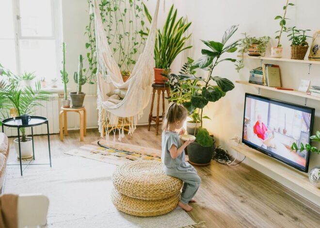 Tips for Creating a Cozy and Inviting Living Room on a Budget
